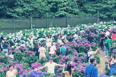 Group of people on flowering plants against trees