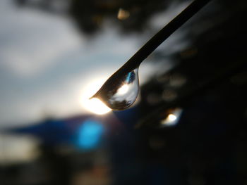 Close-up of water drop against sky