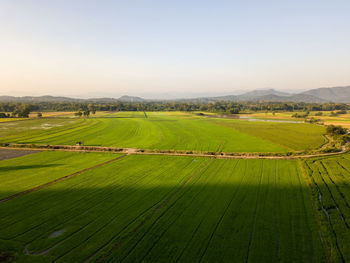 Scenic view of agricultural field against clear sky