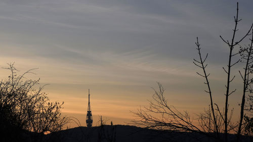 Low angle view of silhouette plants against sky during sunset