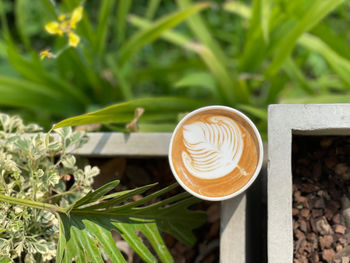 Close-up of coffee cup