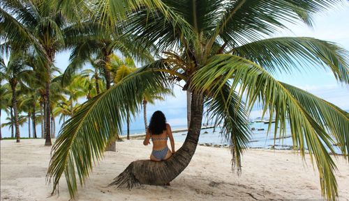 Rear view of woman sitting by palm tree on beach