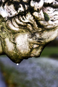 Close-up of statue against sky