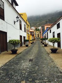 Cobblestone path passing by residential buildings