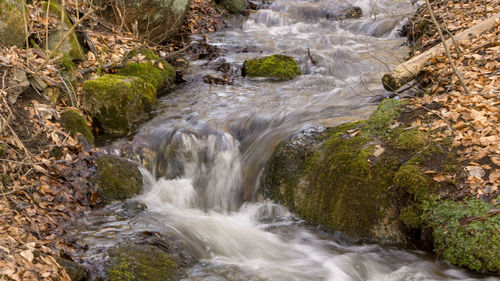 Stream flowing through rocks in forest