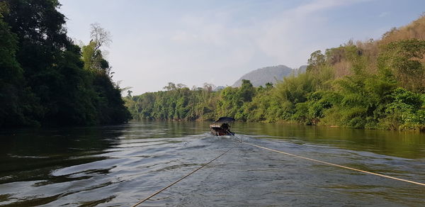 Man on river amidst trees against sky