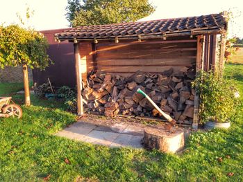 Stack of logs in yard