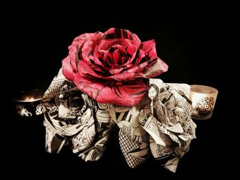 Close-up of red flower over black background