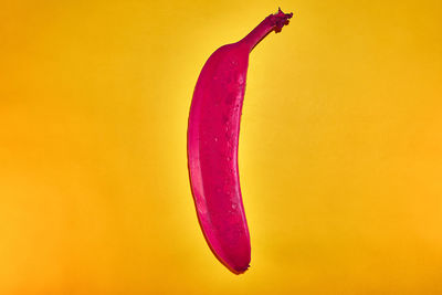 Close-up of lemon slice on yellow background