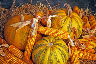 Close-up of pumpkins and corn cobs