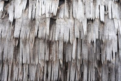 Full frame shot of wooden floor