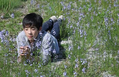 Portrait of boy looking at flowering plants