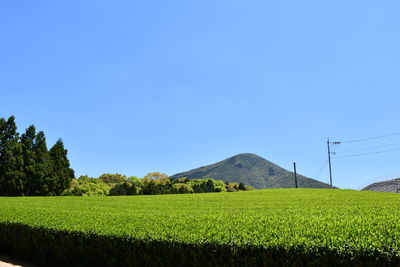 Scenic view of field against clear blue sky