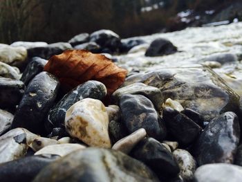 Rocks on shore