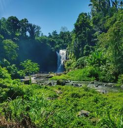 Scenic view of waterfall