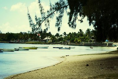 View of boats in sea