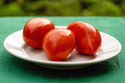 Fresh red tomatoes on a plate on the green background, close-up