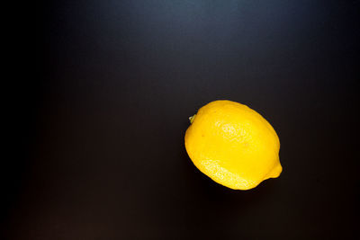 Close-up of orange slice against black background