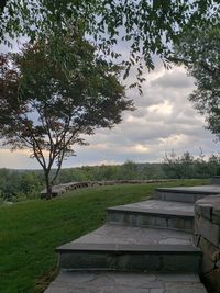 Trees on field against sky