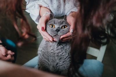 Portrait of cat on bed at home