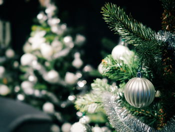 Close-up of christmas tree