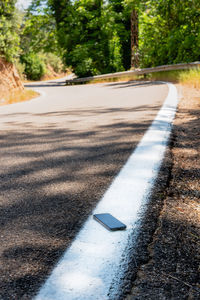 Surface level of road by trees in city