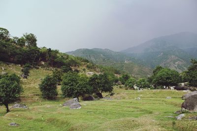 Scenic view of field against sky