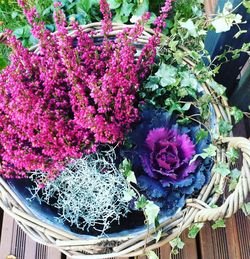 Close-up of purple flowers blooming outdoors