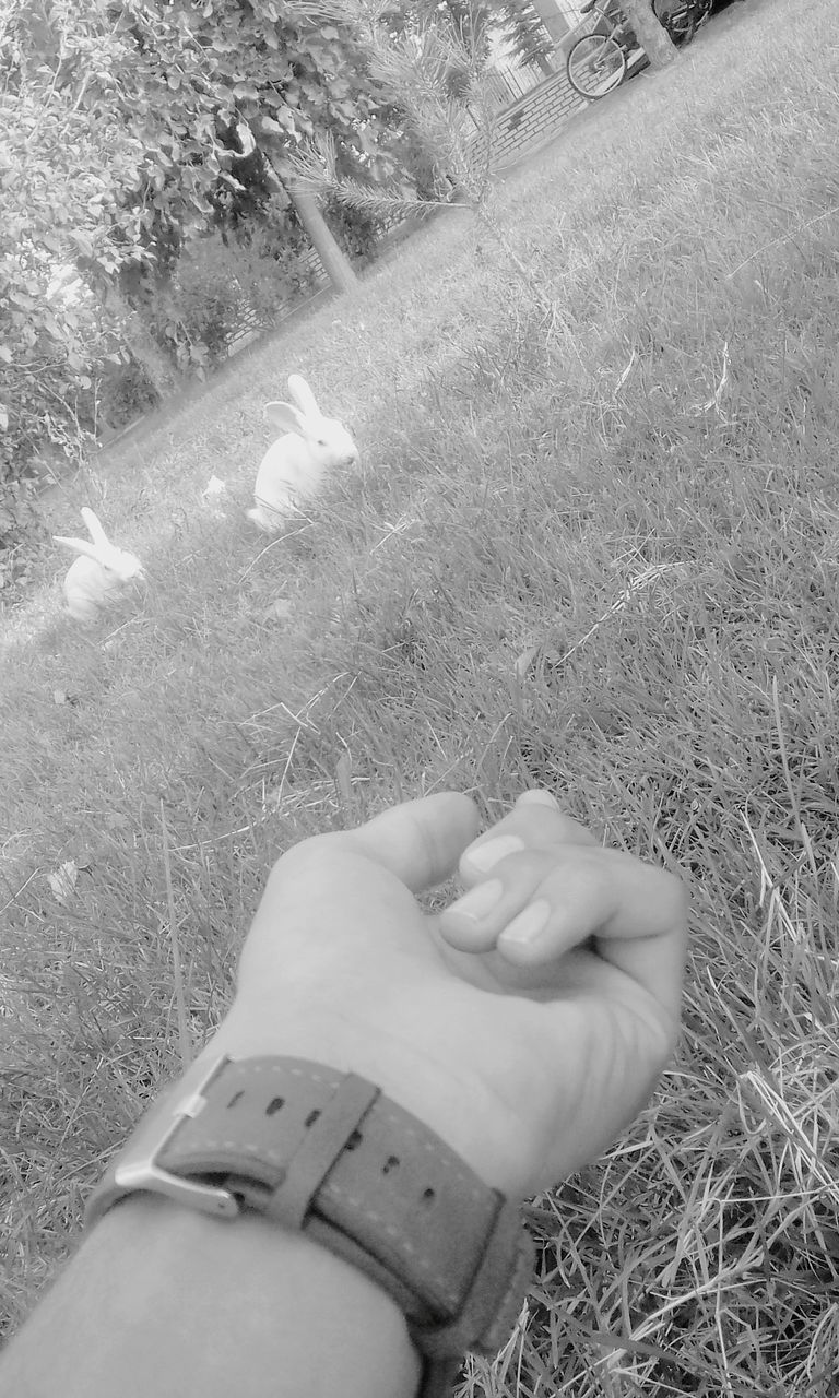 white, black and white, one person, hand, monochrome photography, day, high angle view, monochrome, lifestyles, grass, plant, human leg, black, limb, nature, leisure activity, personal perspective, arm, land, field, outdoors, adult, women, soil