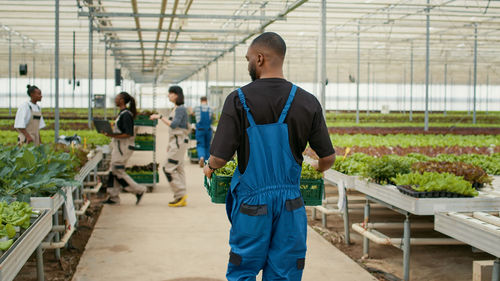 Rear view of man standing in greenhouse