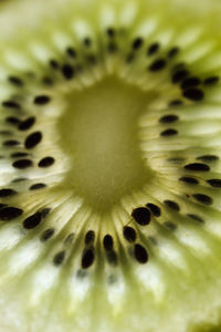 Macro shot of flower head