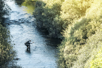 High angle view of river amidst trees