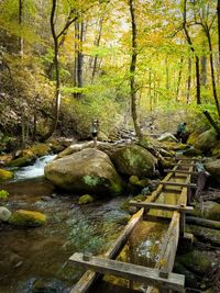 Stream flowing through rocks in forest