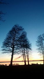 Silhouette of trees at sunset