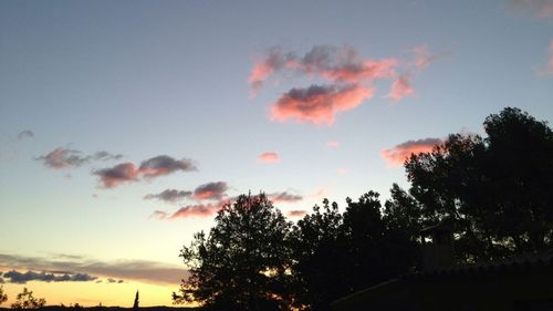 Low angle view of trees against sky