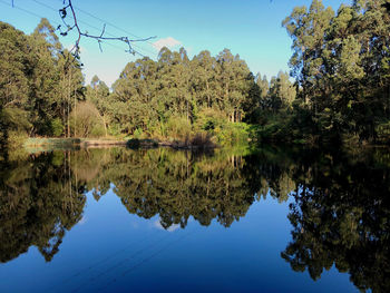 Reflection of trees in lake against clear blue sky