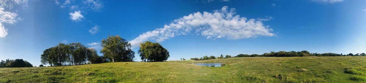 Panoramic view of trees on field against sky