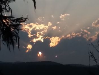 Low angle view of silhouette trees against sky during sunset