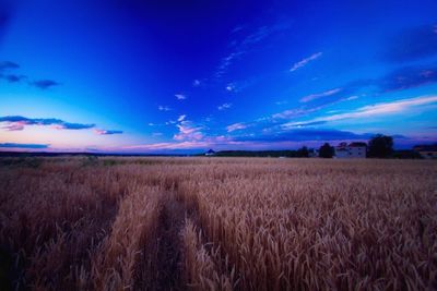 Scenic view of field against cloudy sky