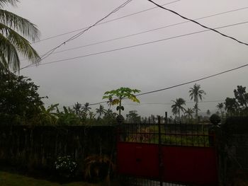 power line