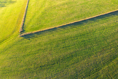 Full frame shot of agricultural field