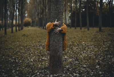 Tree on field in forest during winter