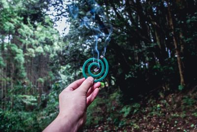 Cropped image of person holding plant against trees