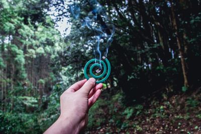 Cropped hand of person holding burning mosquito coil in forest
