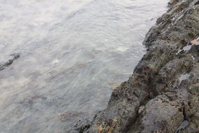 High angle view of rocks in water