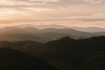 environment