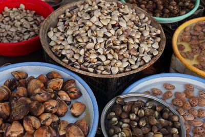 Food market. fresh shell, clam. nha trang, vietnam.