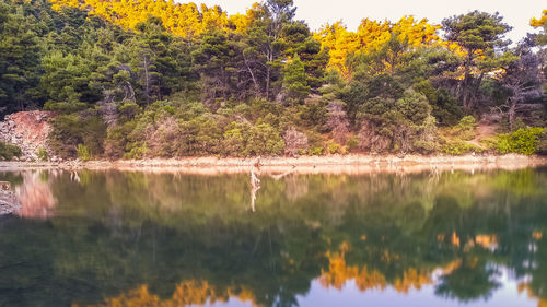 Reflection of trees in lake against sky during autumn