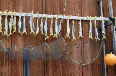 Low angle view of hanging fish drying