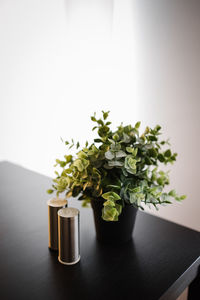 Close-up of potted plant on table at home